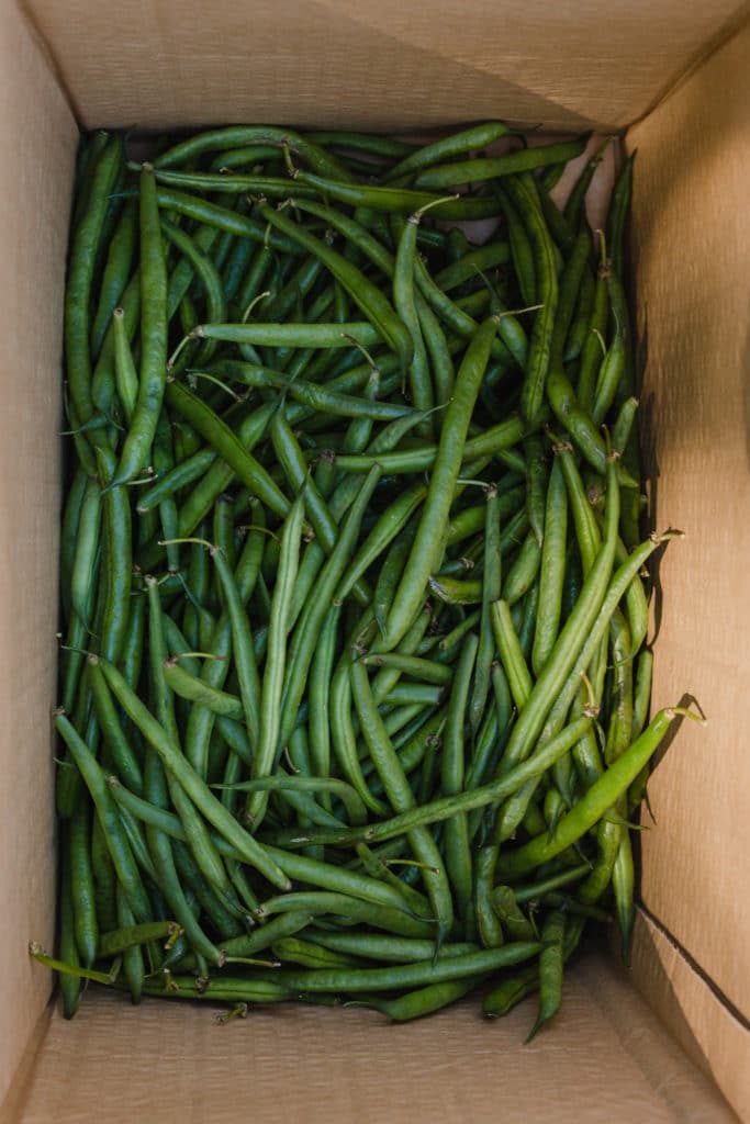 fresh-beans-in-box